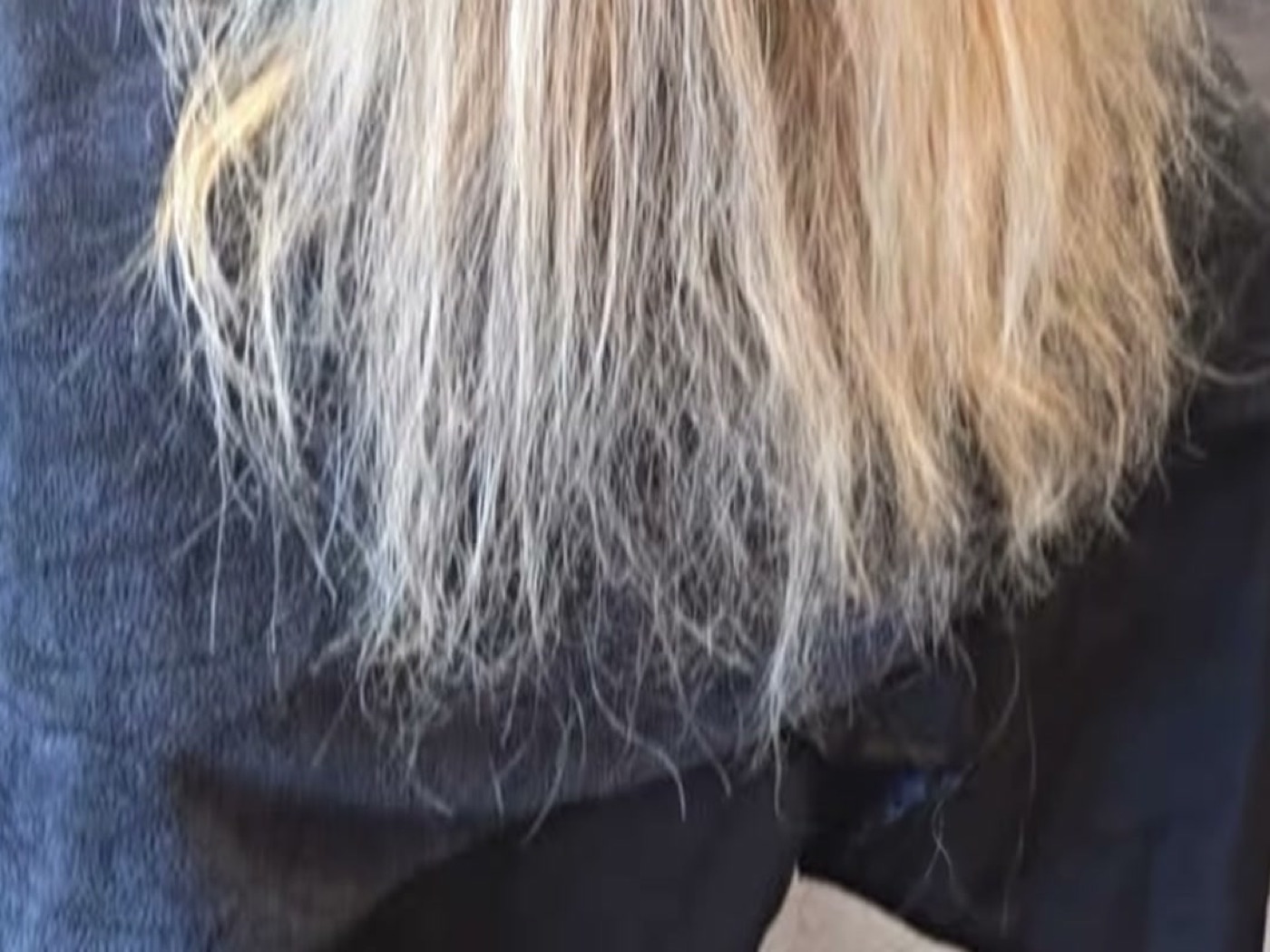 Blonde Längen vorher, trocken und strähnig